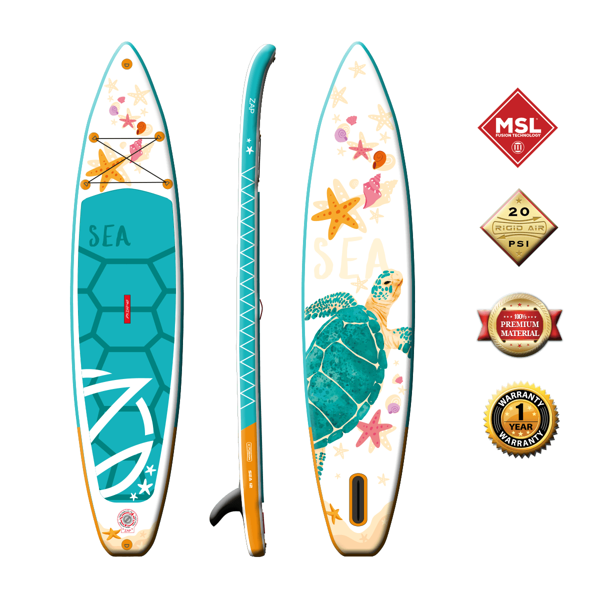 Sea Turtle 12 Fusion